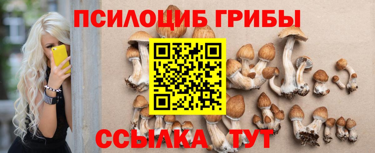 Псилоцибиновые грибы Psilocybe Маркс