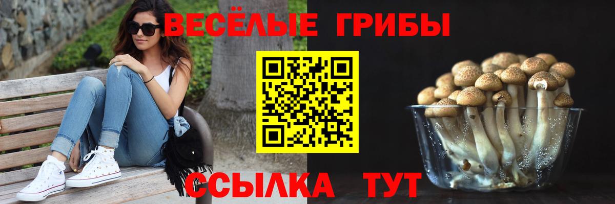 Маркс  Псилоцибиновые грибы Psilocybe  Вход с VPN 
